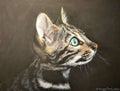 Original large Painting cat pet kitten Feline Pastel ART SIGNED Deimante Bruzguliene