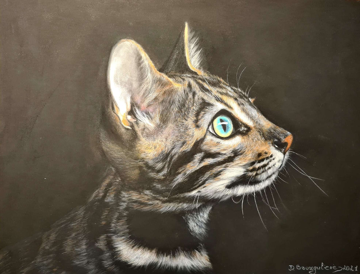 Original large Painting cat pet kitten Feline Pastel ART SIGNED Deimante Bruzguliene