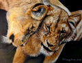 Lions Wild Cat - Original Large Pastel Painting Wall Decor Portrait ART SIGNED Deimante Bruzguliene
