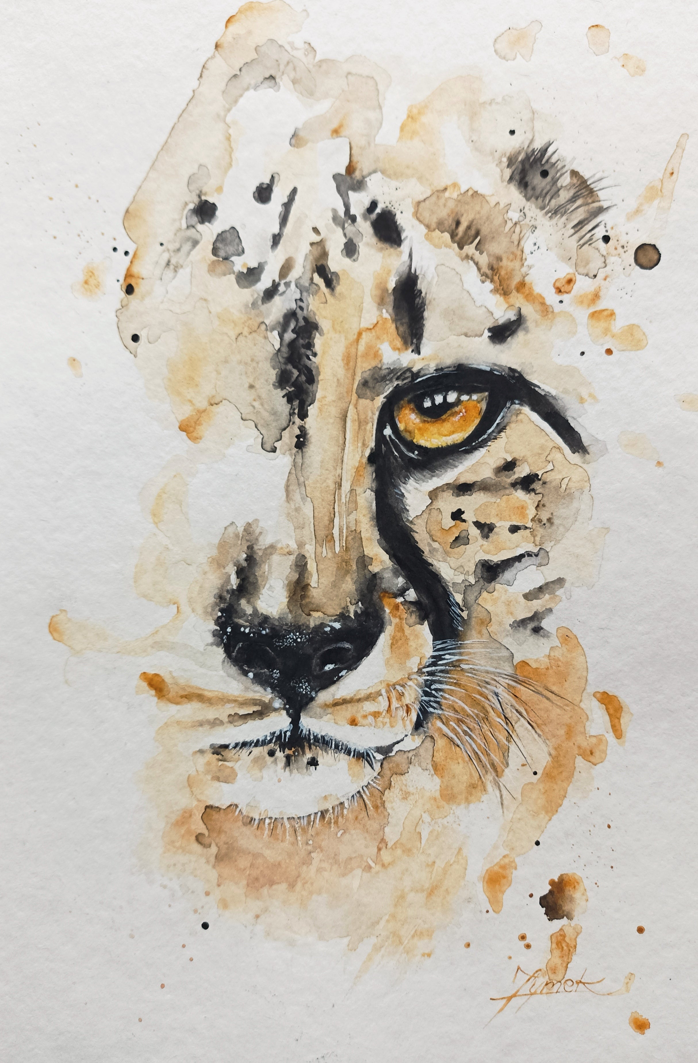 "Wild Grace"