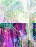 Magical Forest.