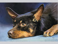 Miniature "English Toy Terrier"