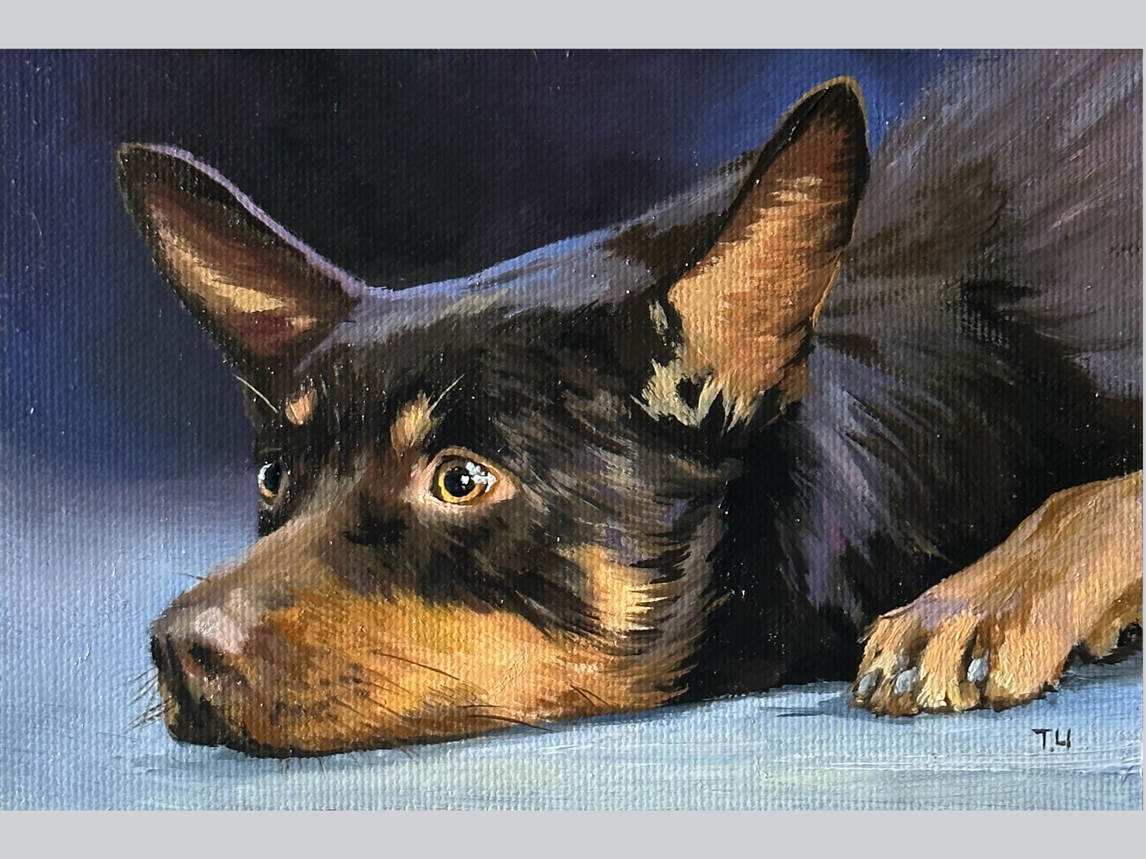Miniature "English Toy Terrier"
