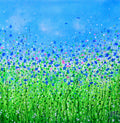 Cornflower Meadow