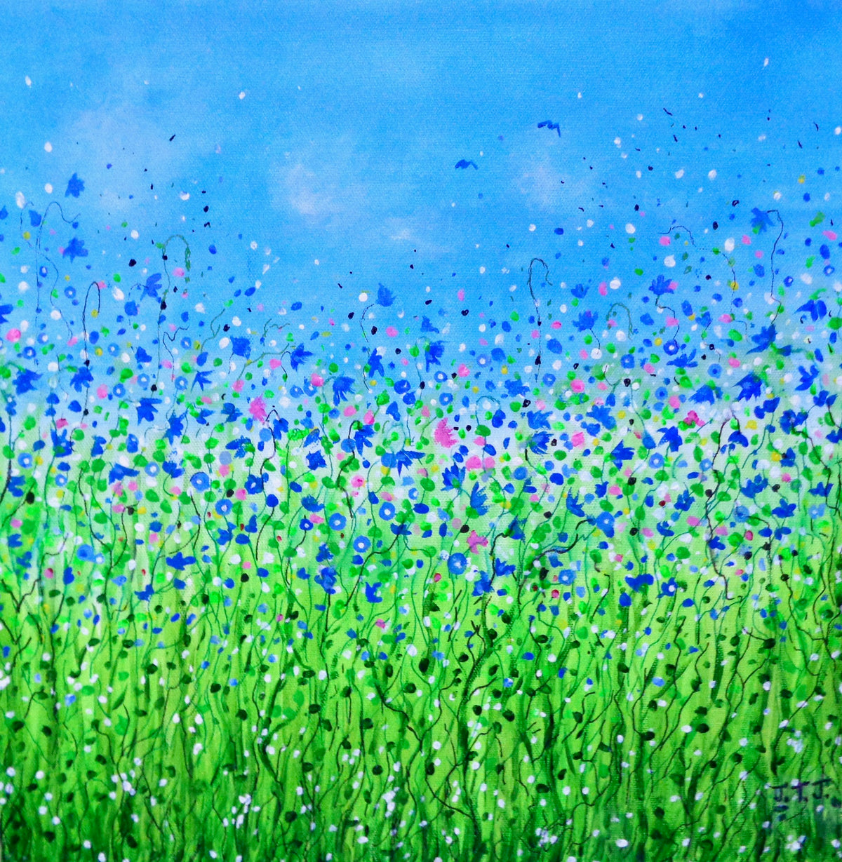 Cornflower Meadow