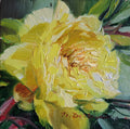 Peony flower