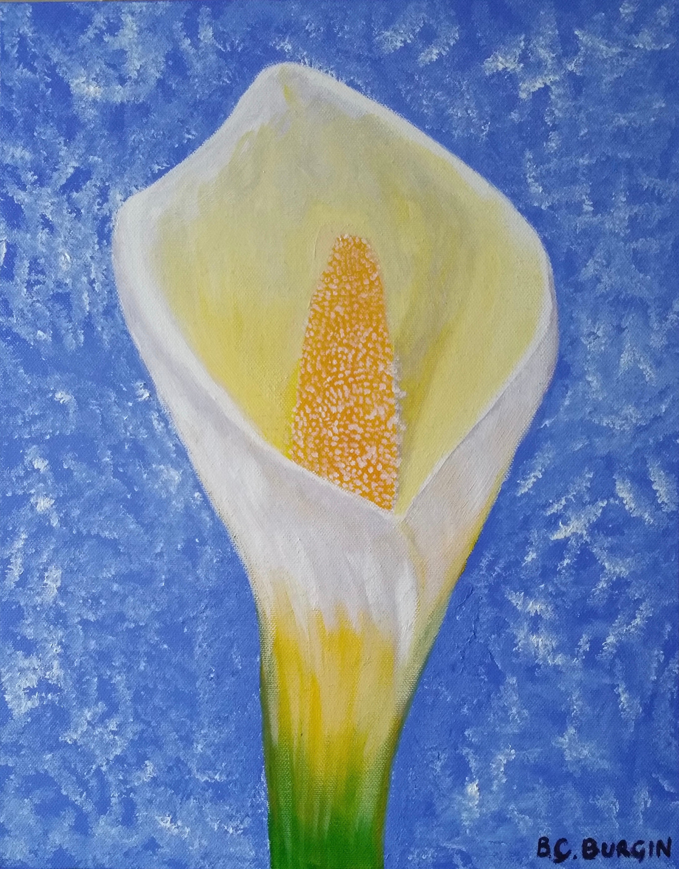 White Calla Lilly