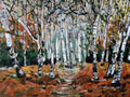 Forest of Silver Birch Trees