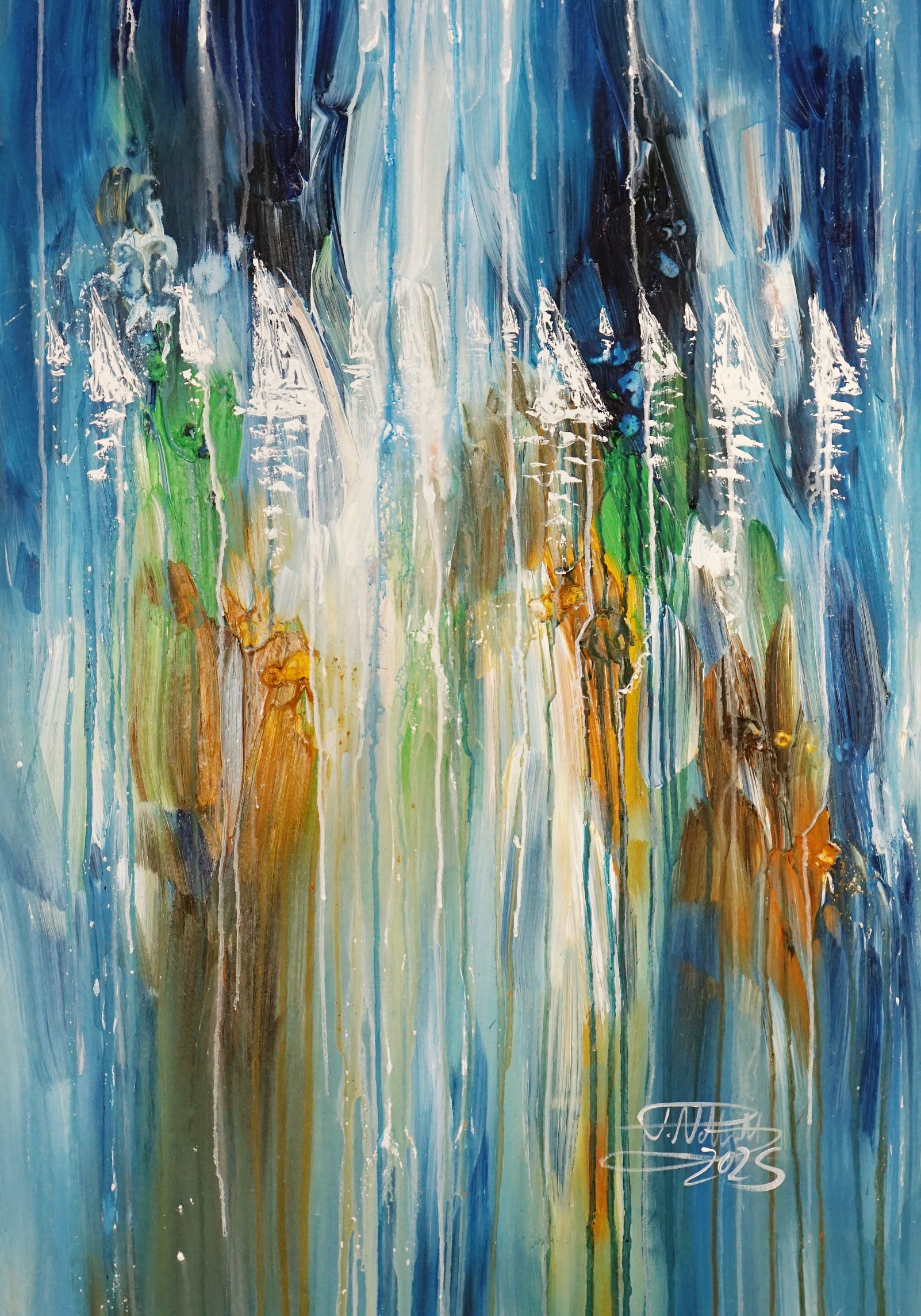 Sail Boats S 2