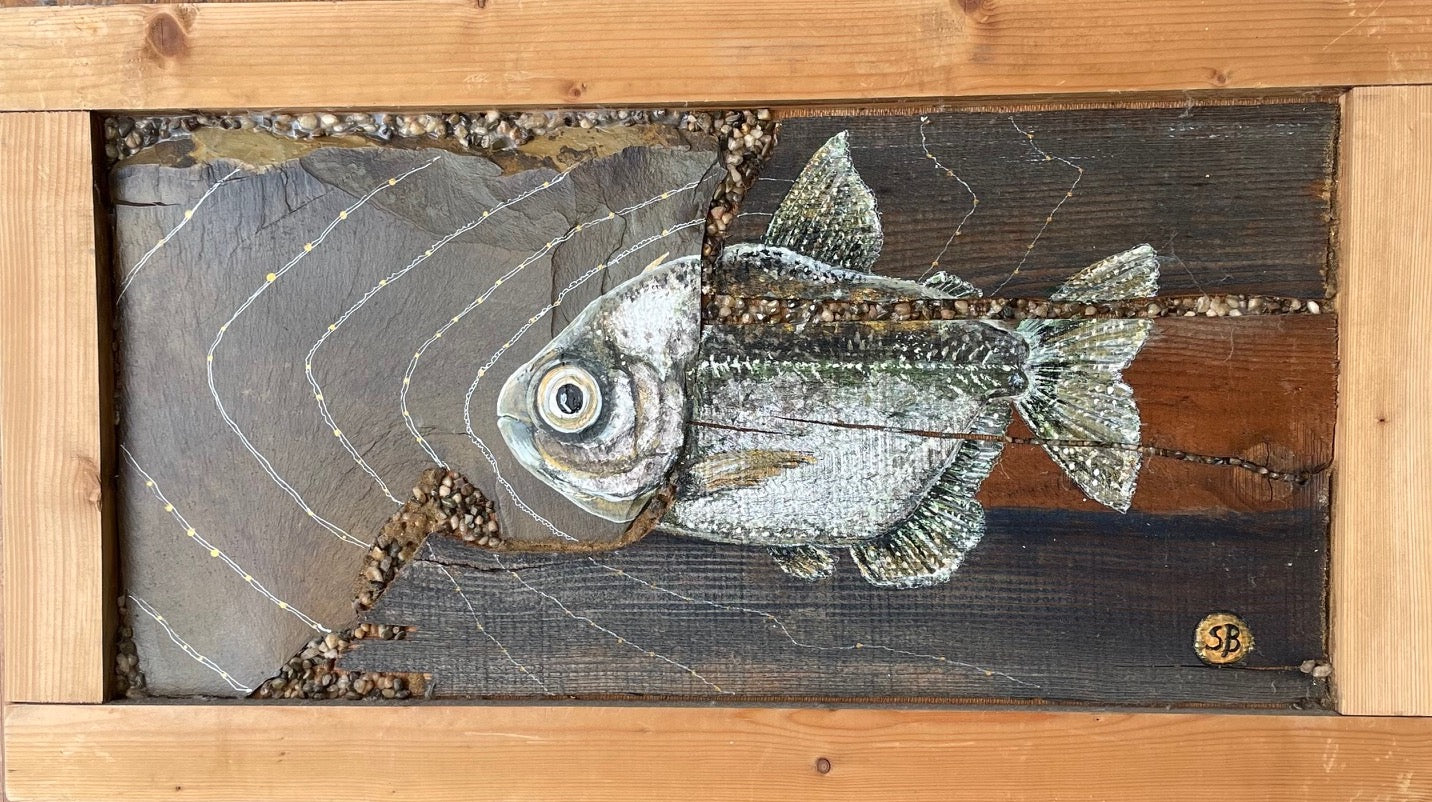 Fish