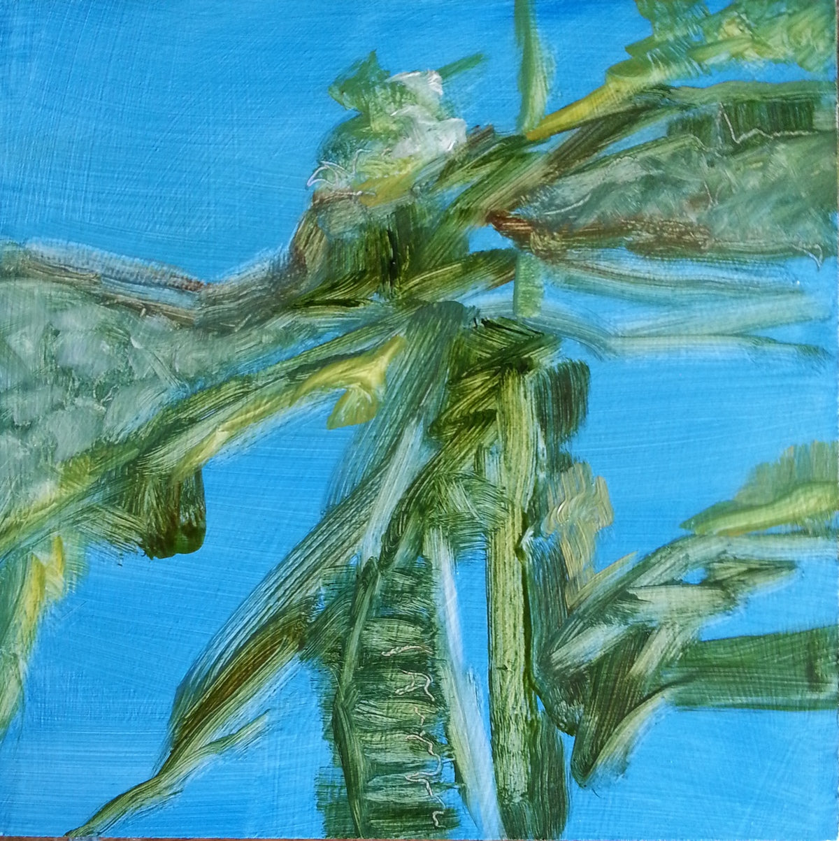 Dragonfly
