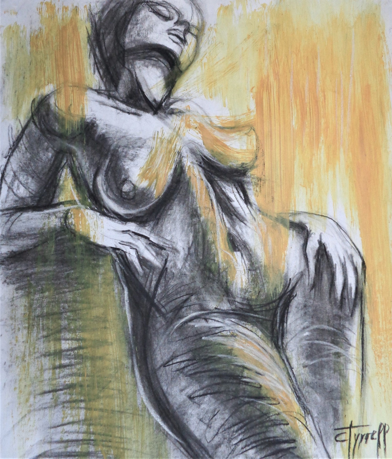 The Morning Light 1