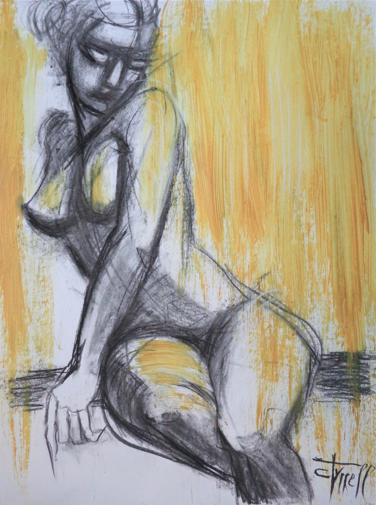 The Morning Light 2