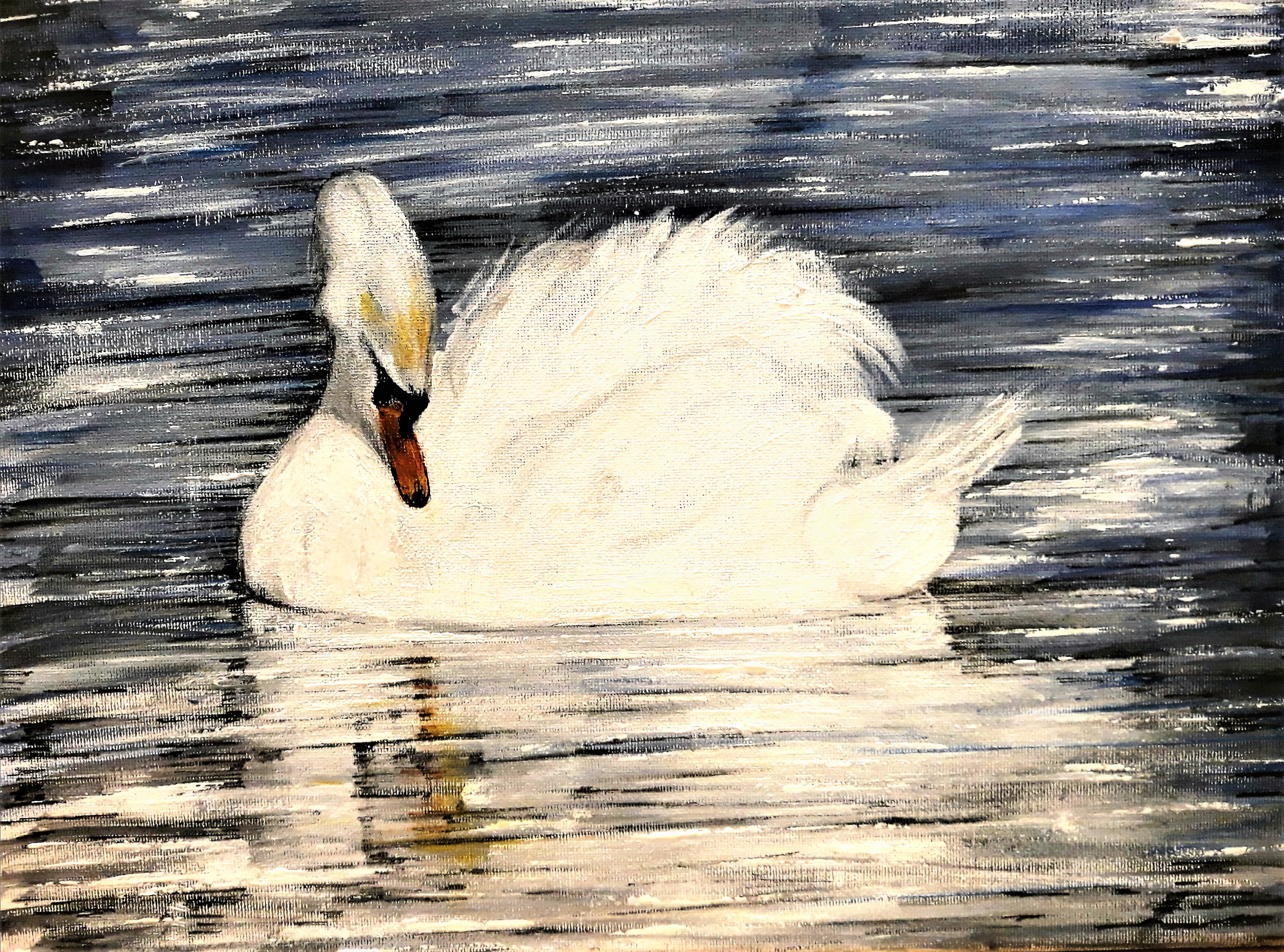 Swan at Rest