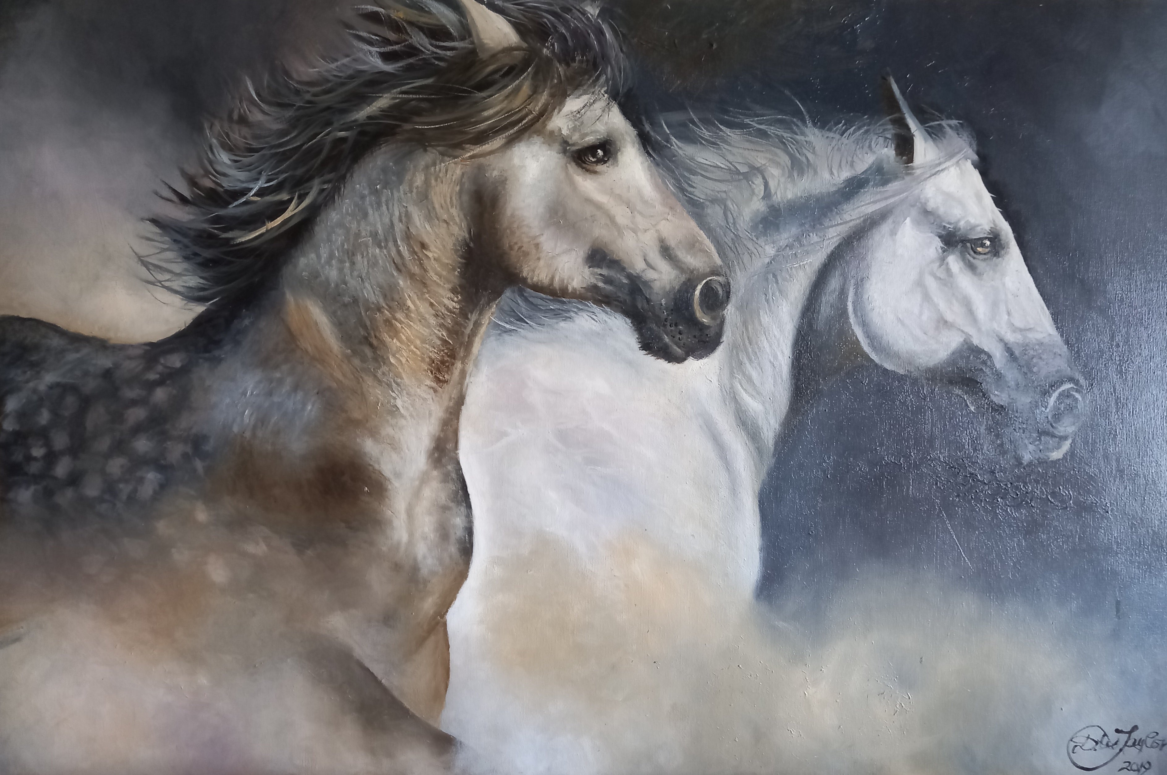 Horses
