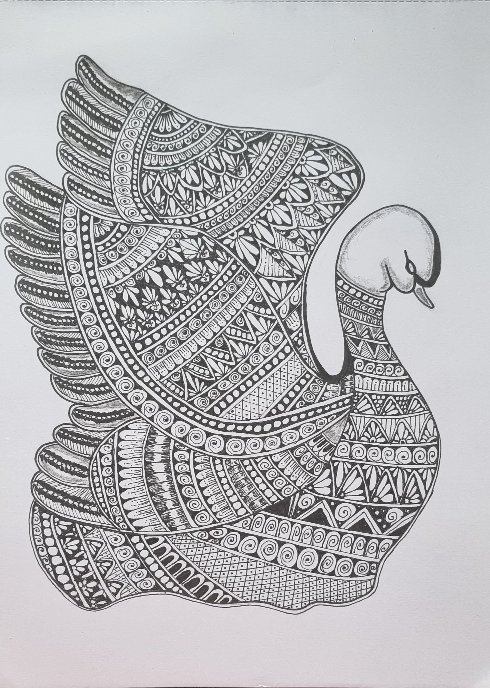 Quacktistic Quacker