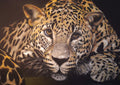 Leopard jus waiting - Original Large Pastel Painting Wall Decor Portrait ART SIGNED Deimante Bruzguliene