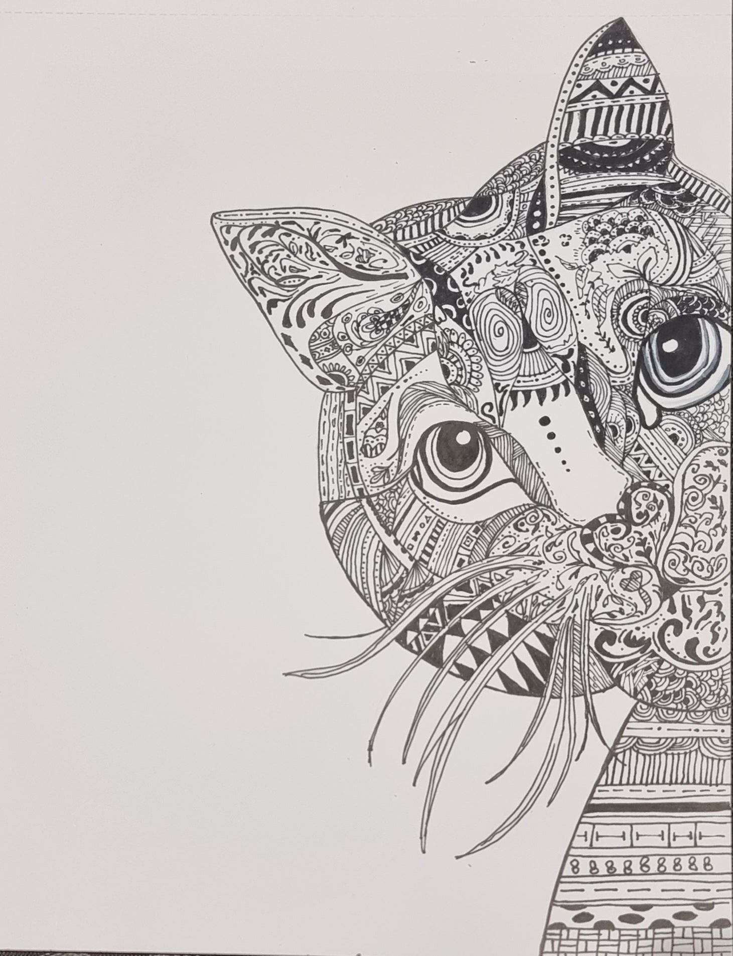 Crafty Kitty Caper