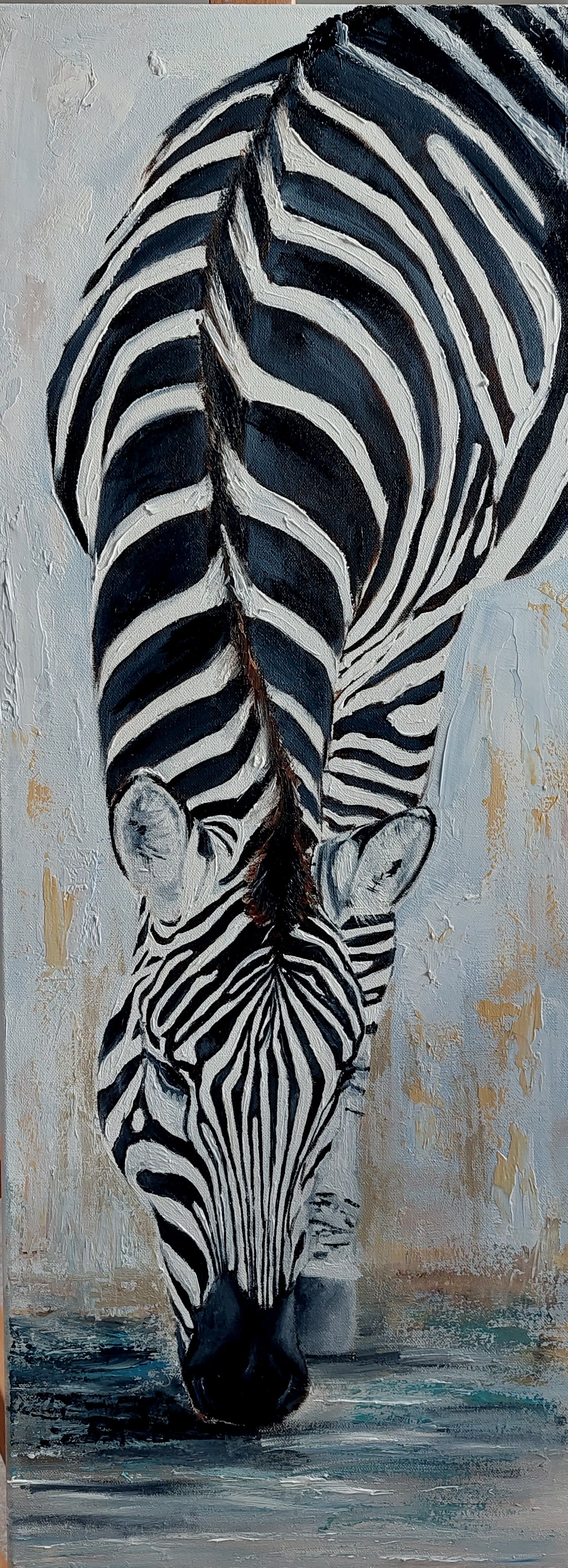 Zebra