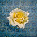 WHITE ROSE ON AHULEJO