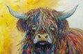 Highland cow