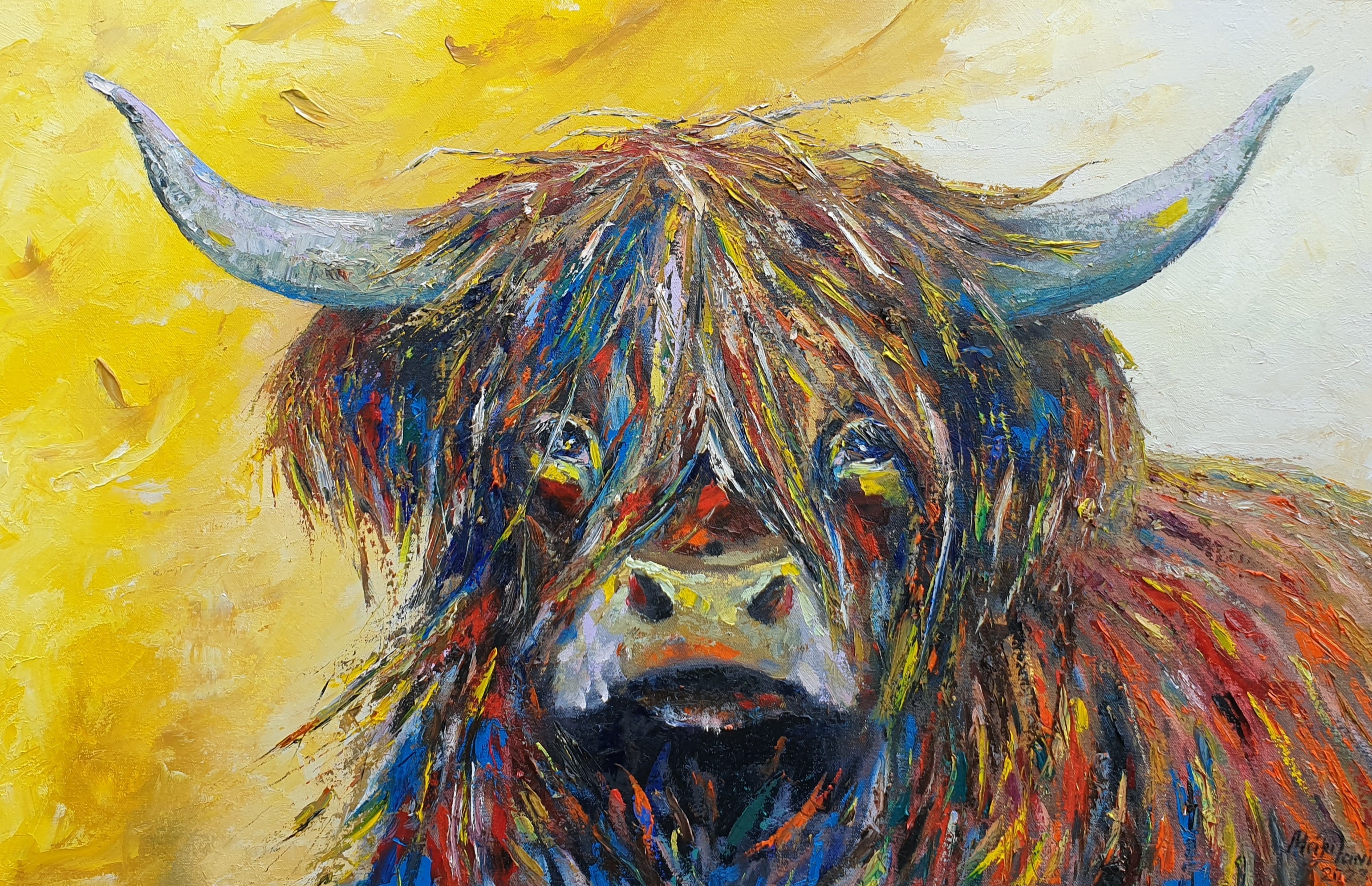 Highland cow