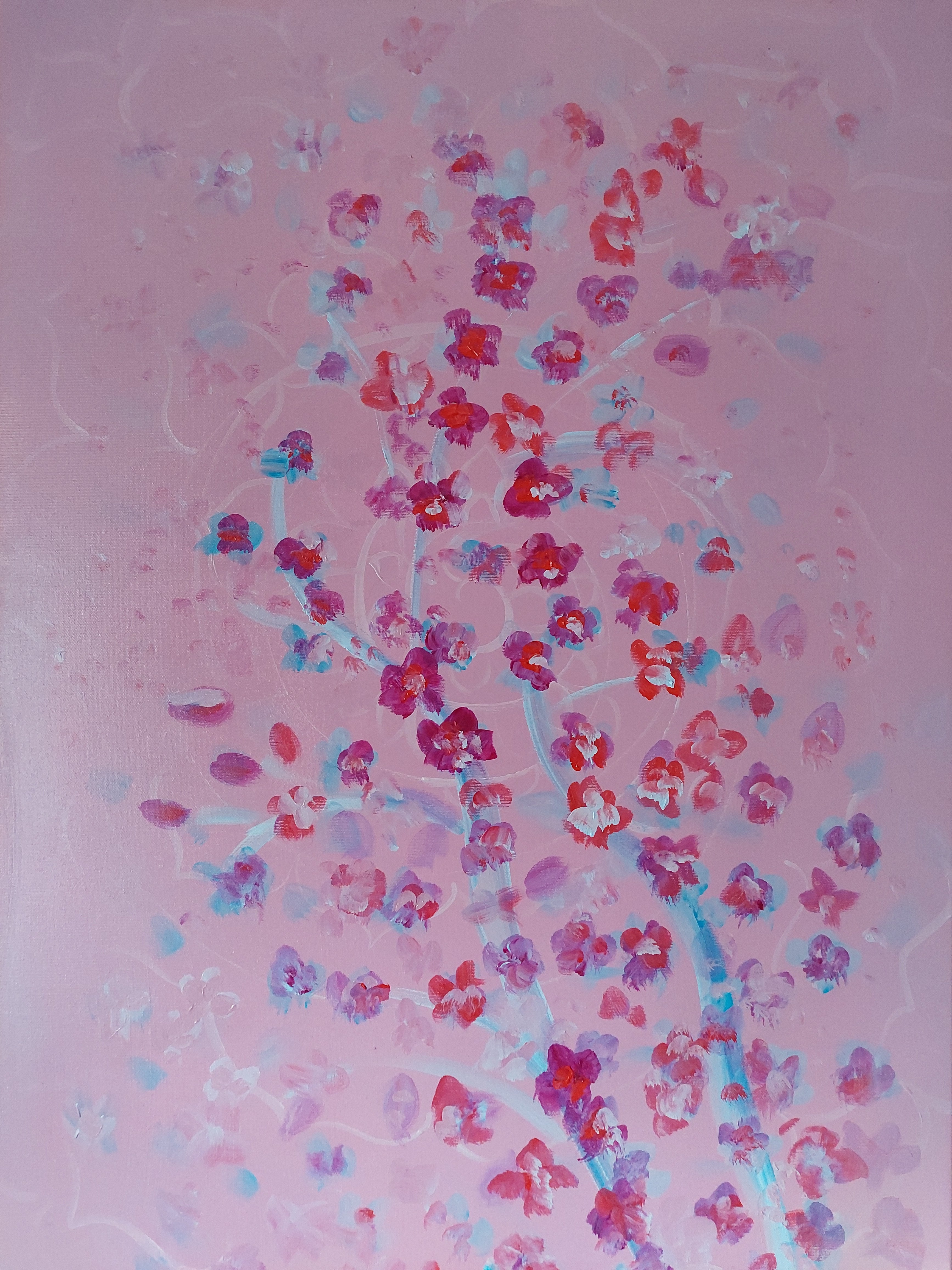 Morning Cherry blossom