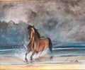 Wild horse in the surf