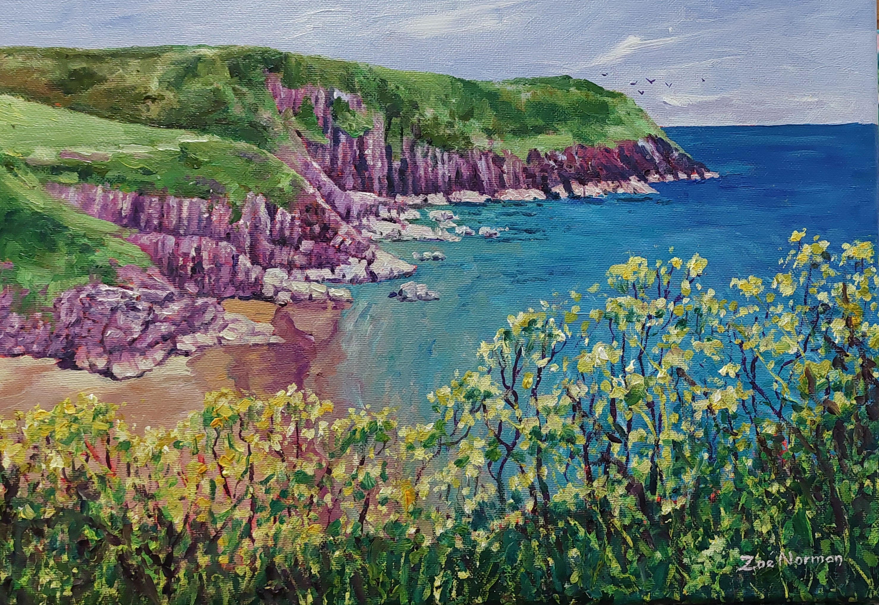 Coastal Wildflowers