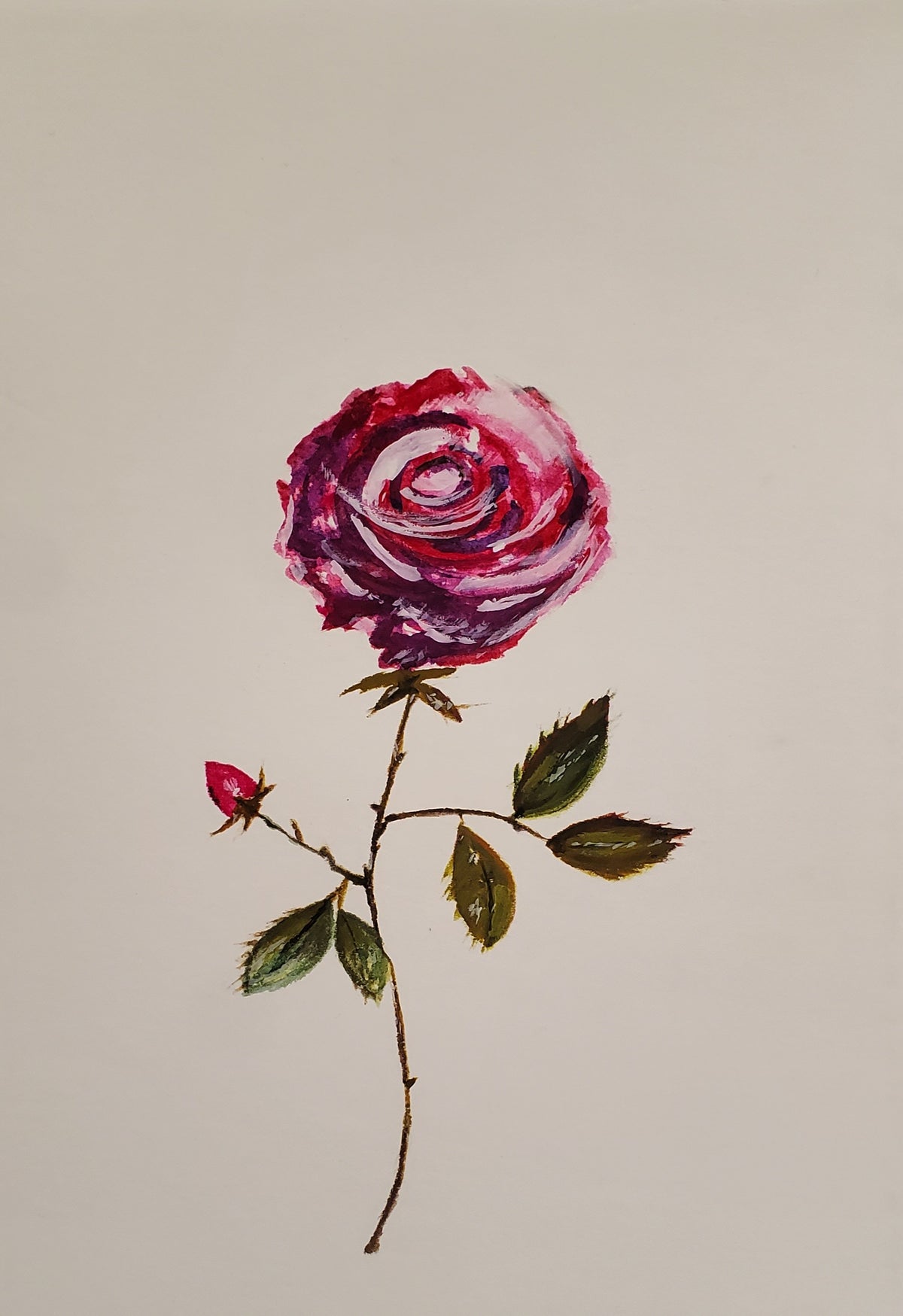 Rose