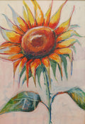 In the sunshine