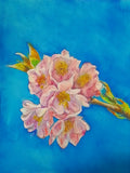 Beautiful Blossom