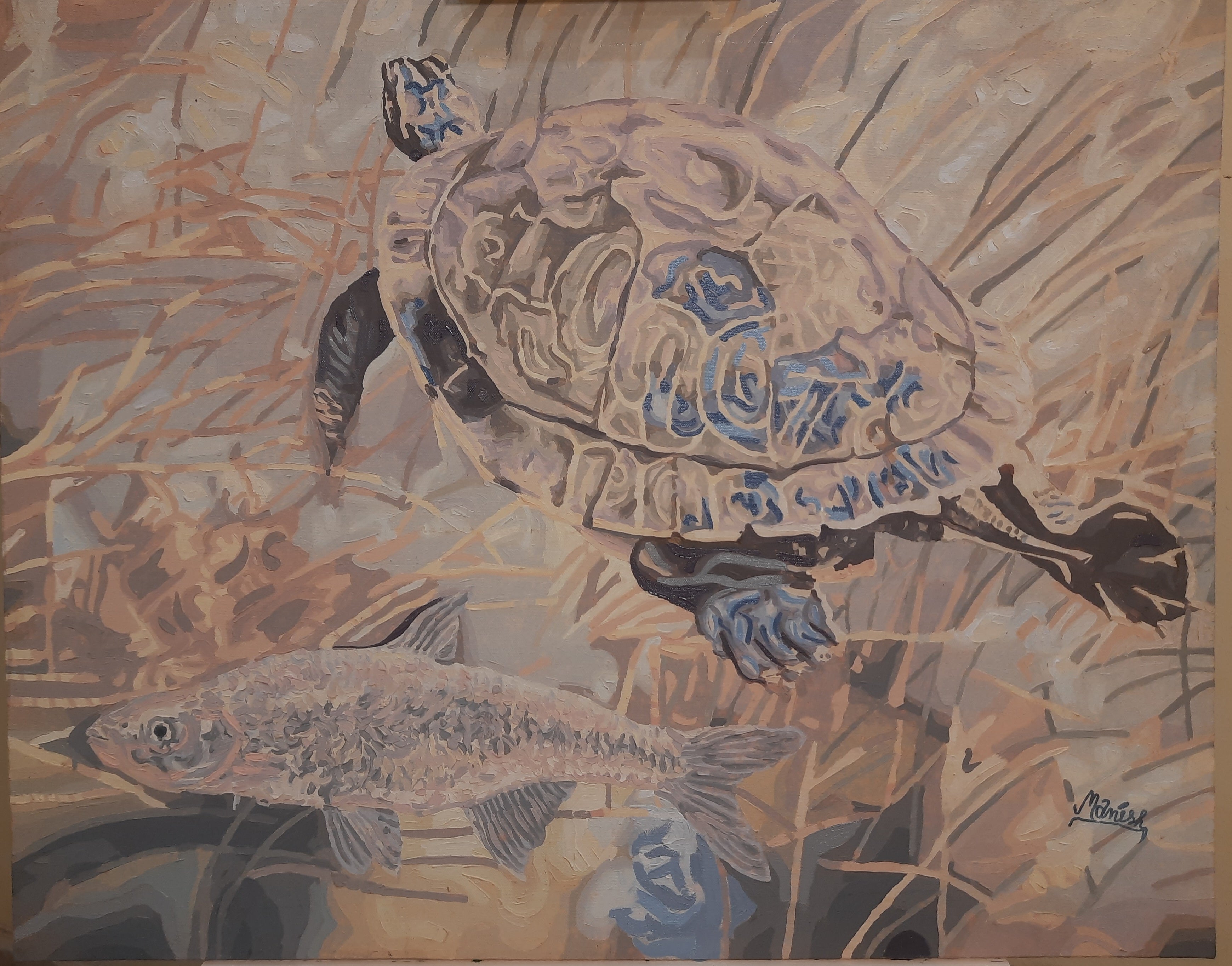 The Fish and The Turtle