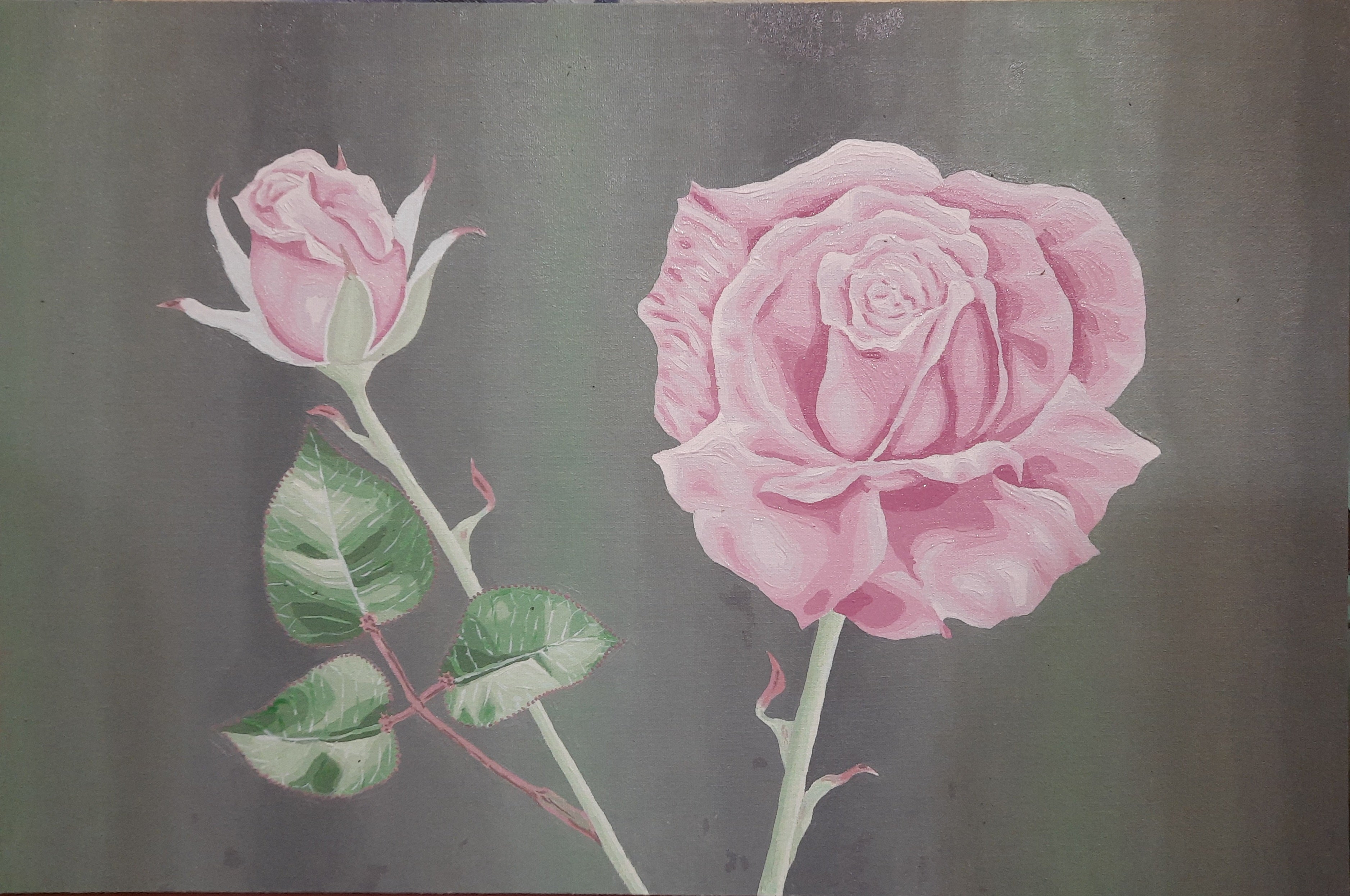 The Pink Rose and The Bud