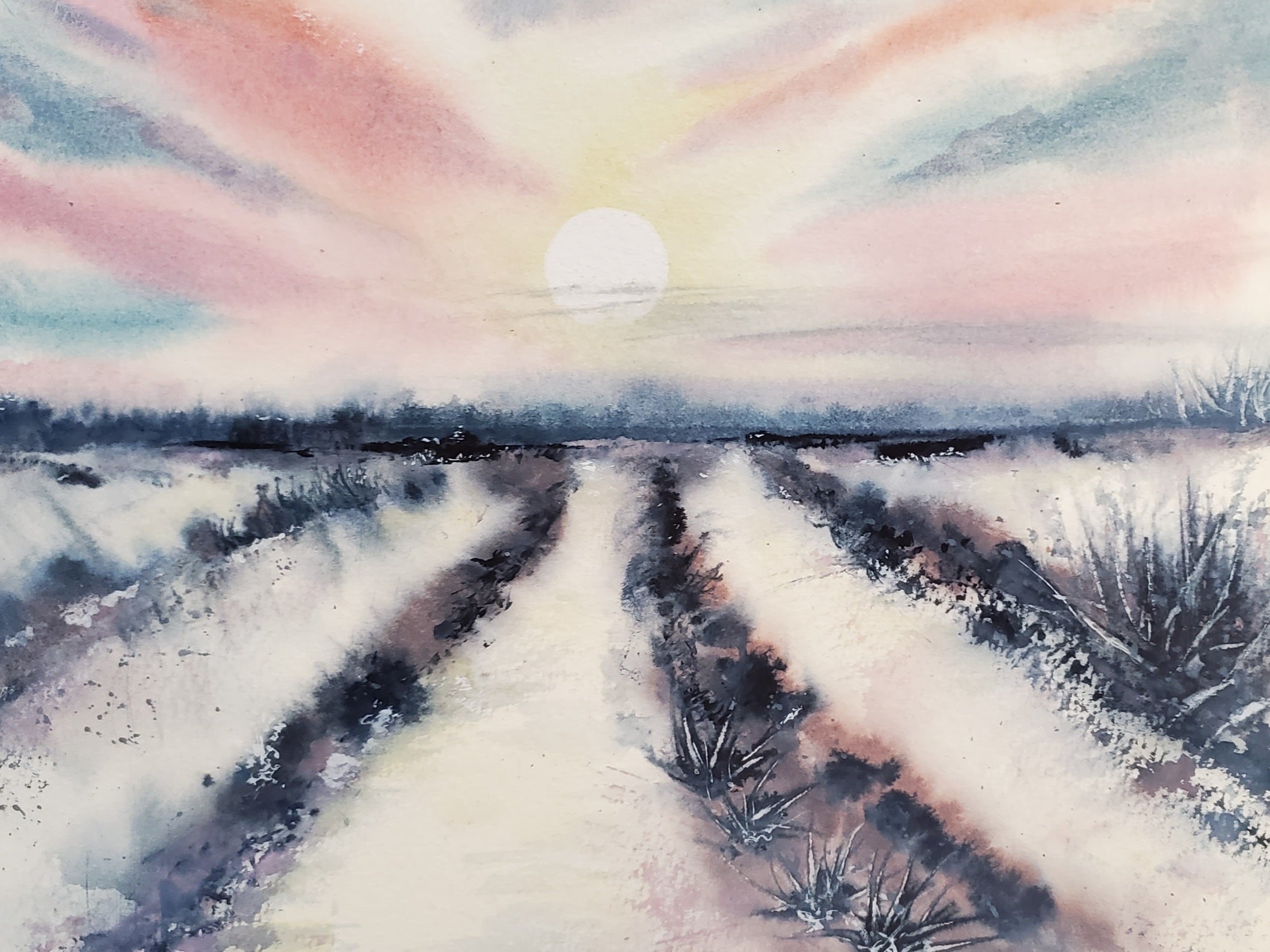 Blushing snowfields