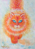 Winter cat
