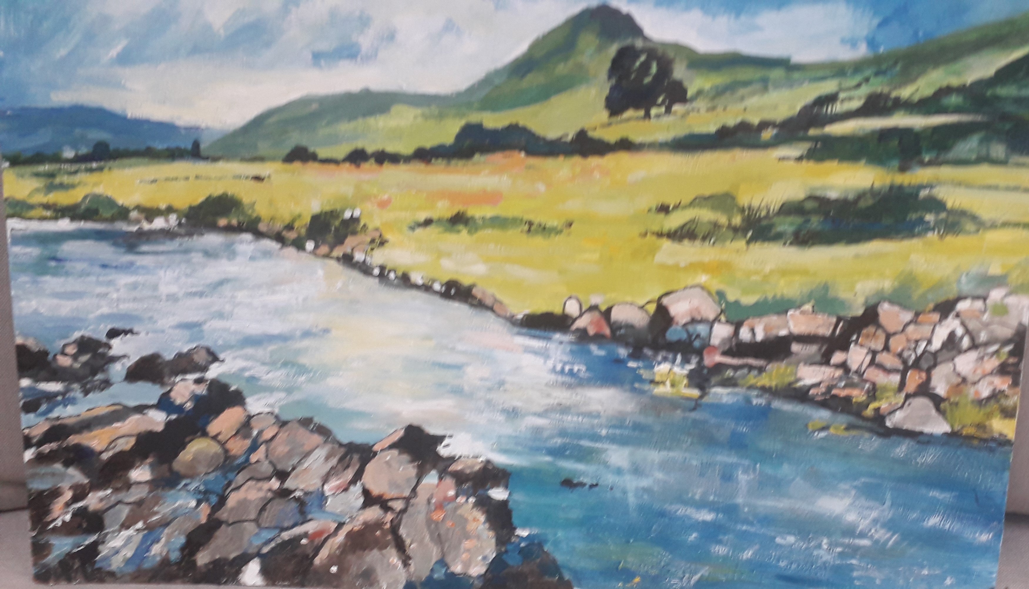 Connemara River