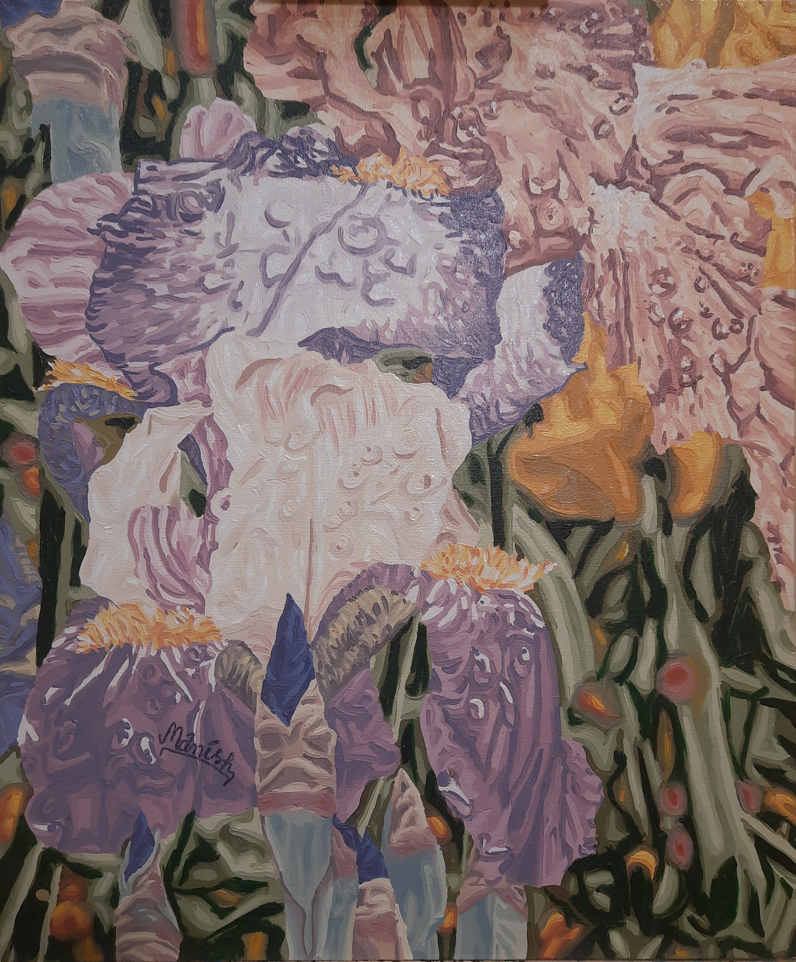Buds and Blossoms