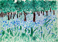 Bluebell wood