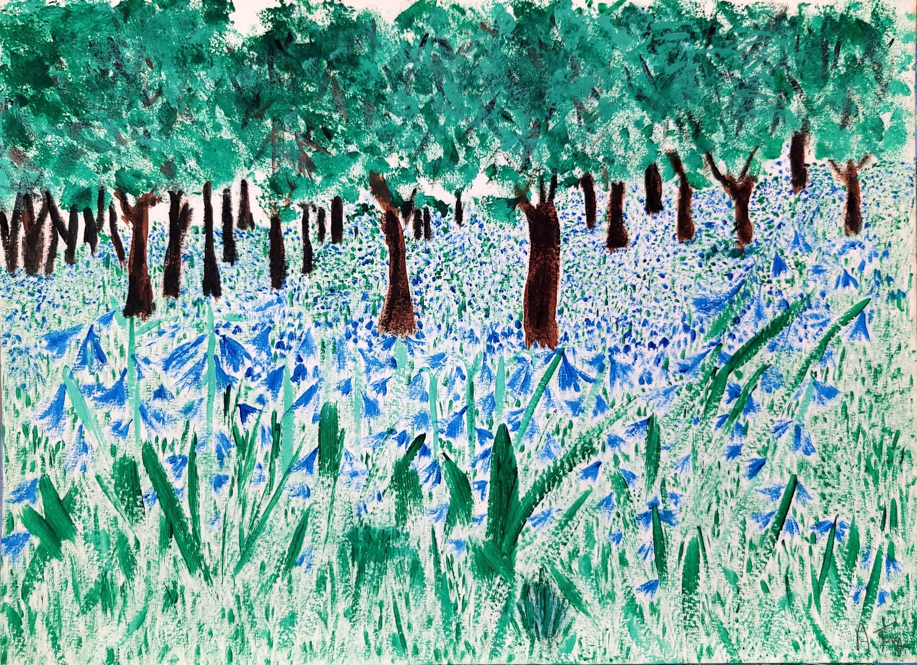 Bluebell wood