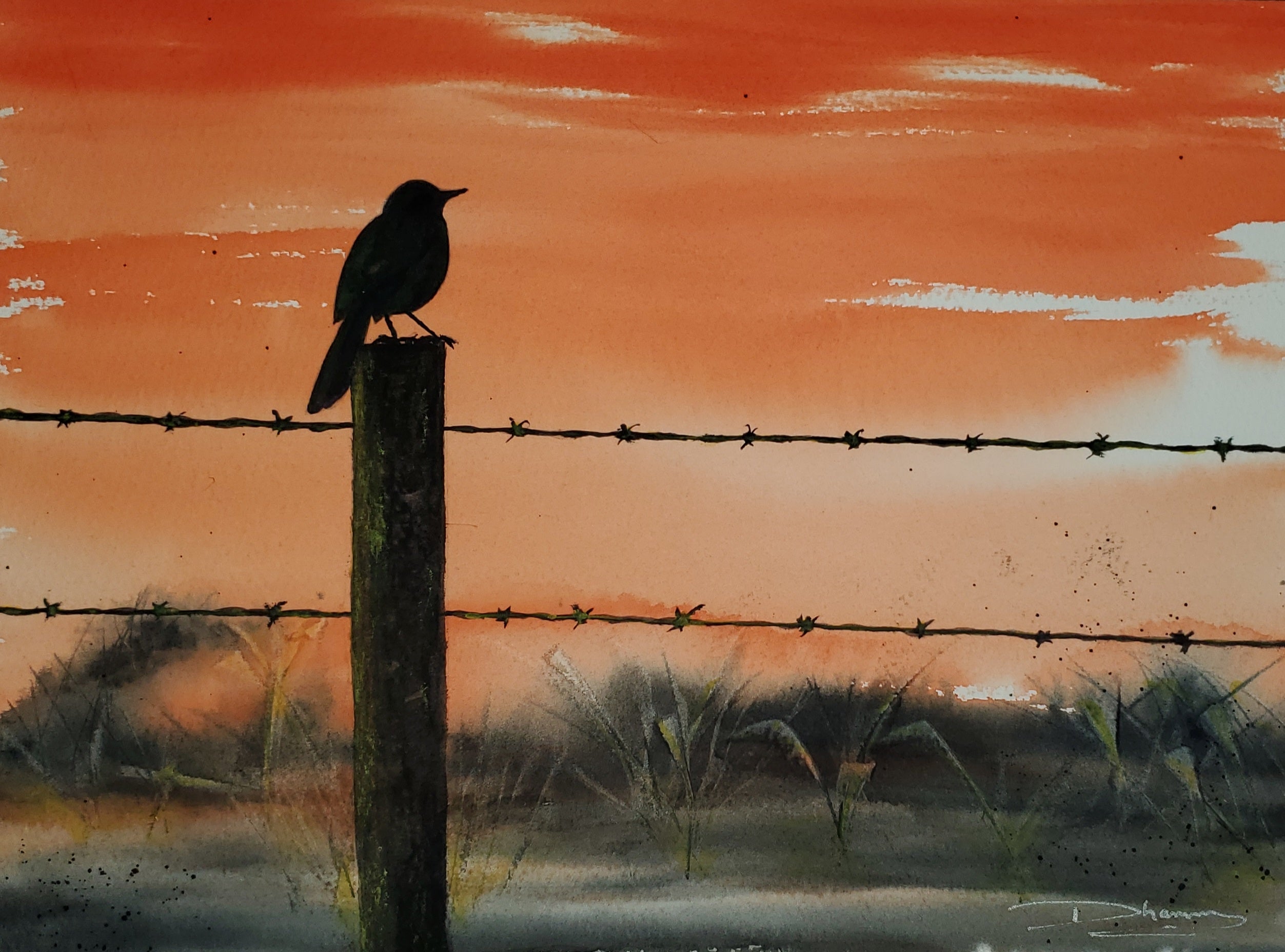 Feather and Thorn