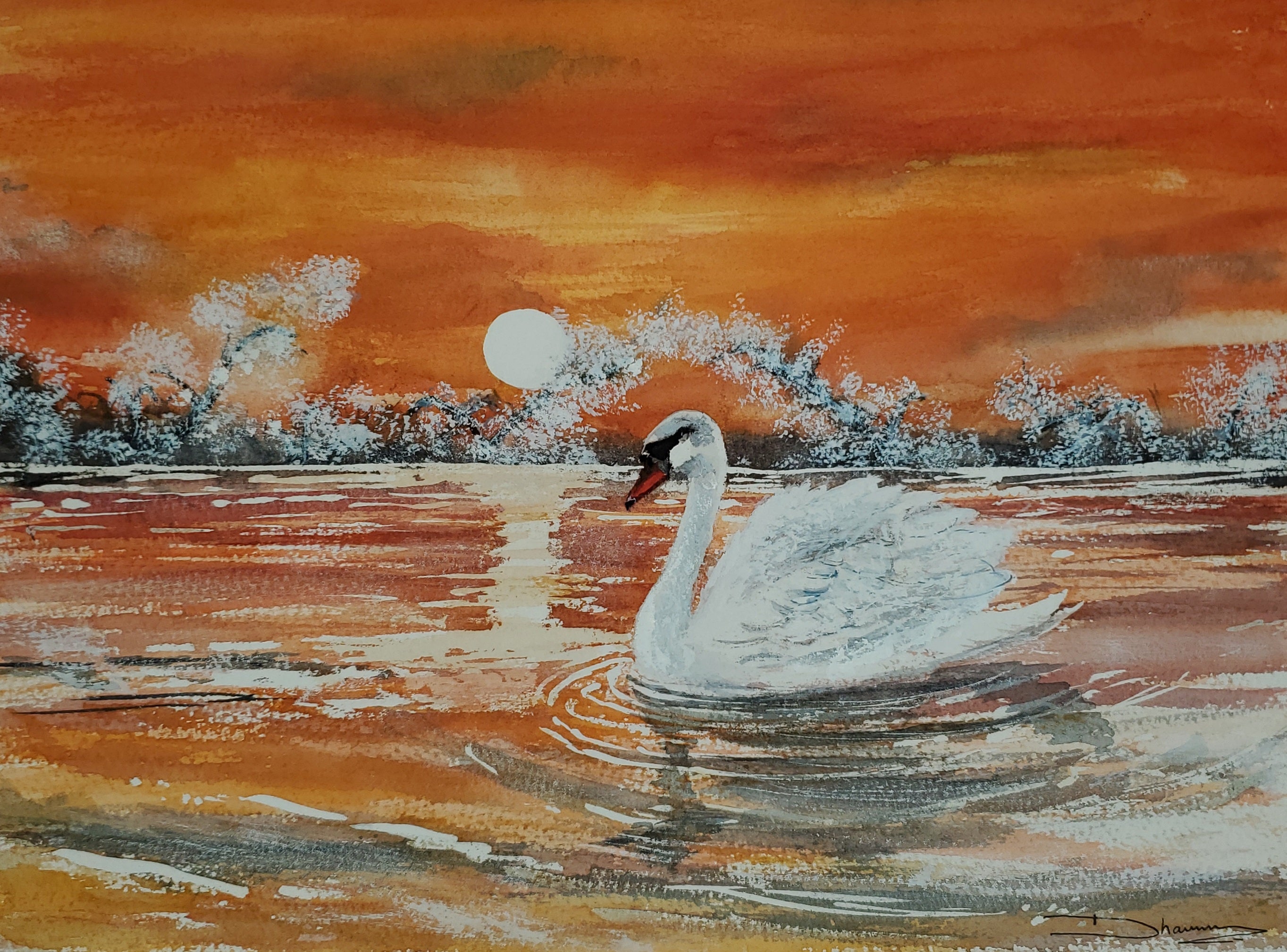 Sunset Swan