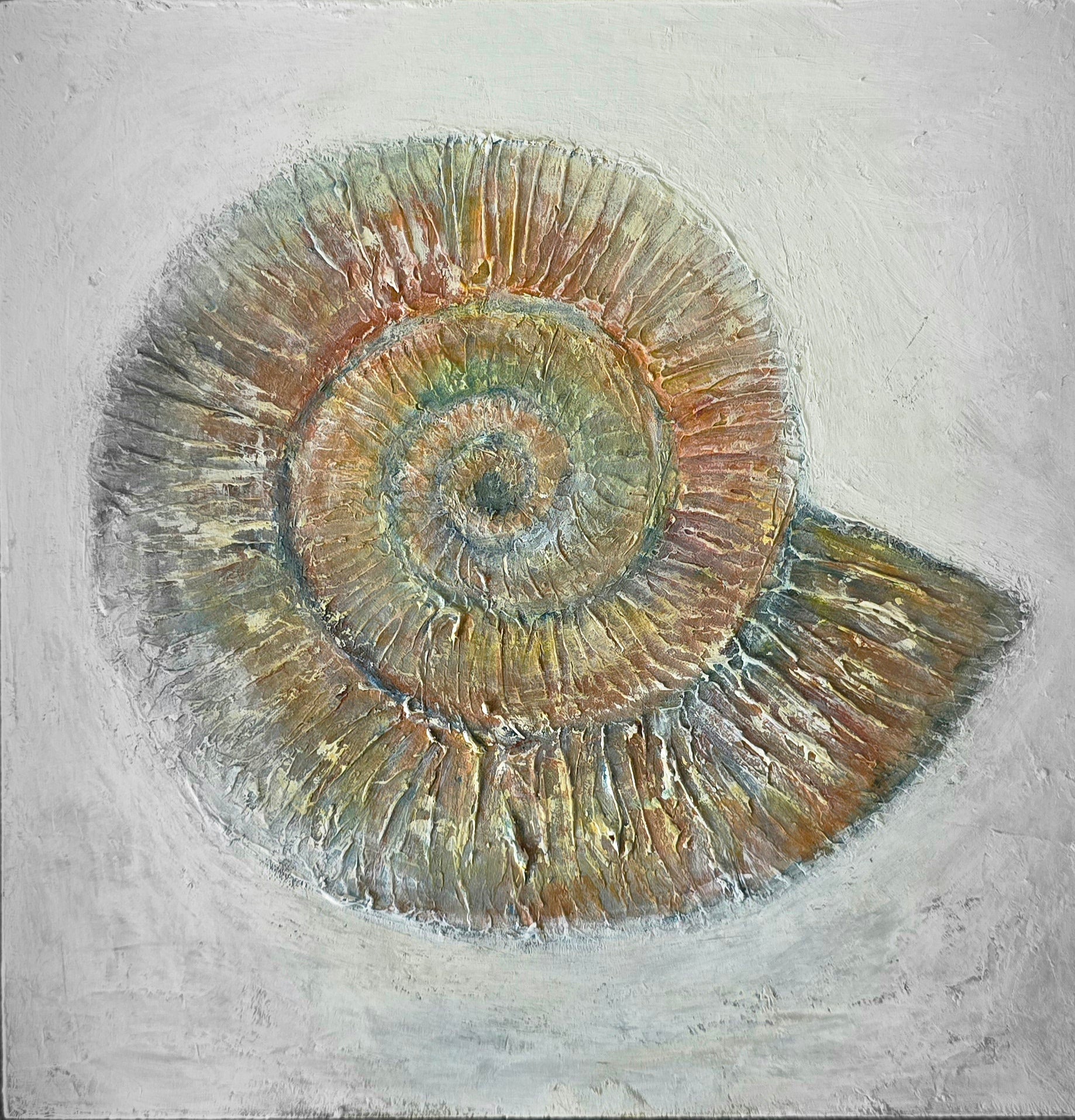 Life Makes Marks - Ammonite