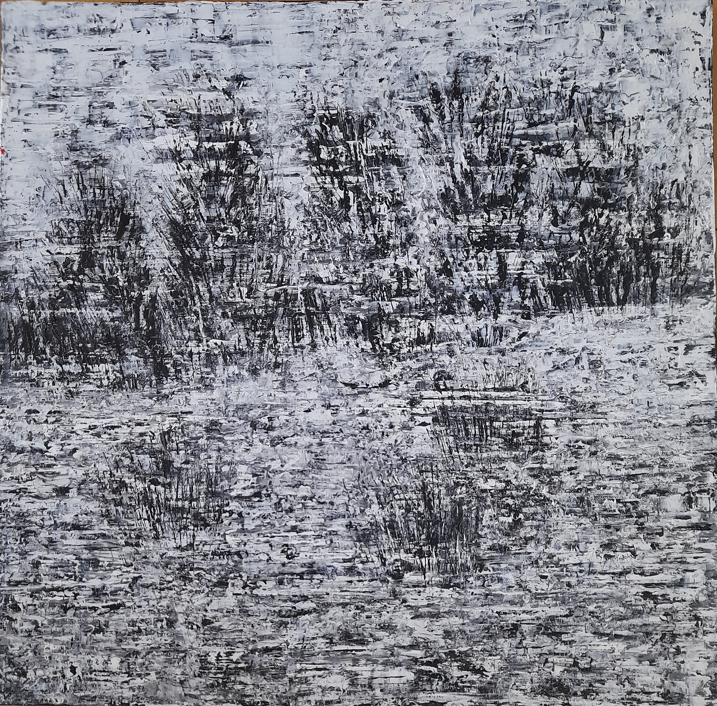 Snowstorm by the Lake