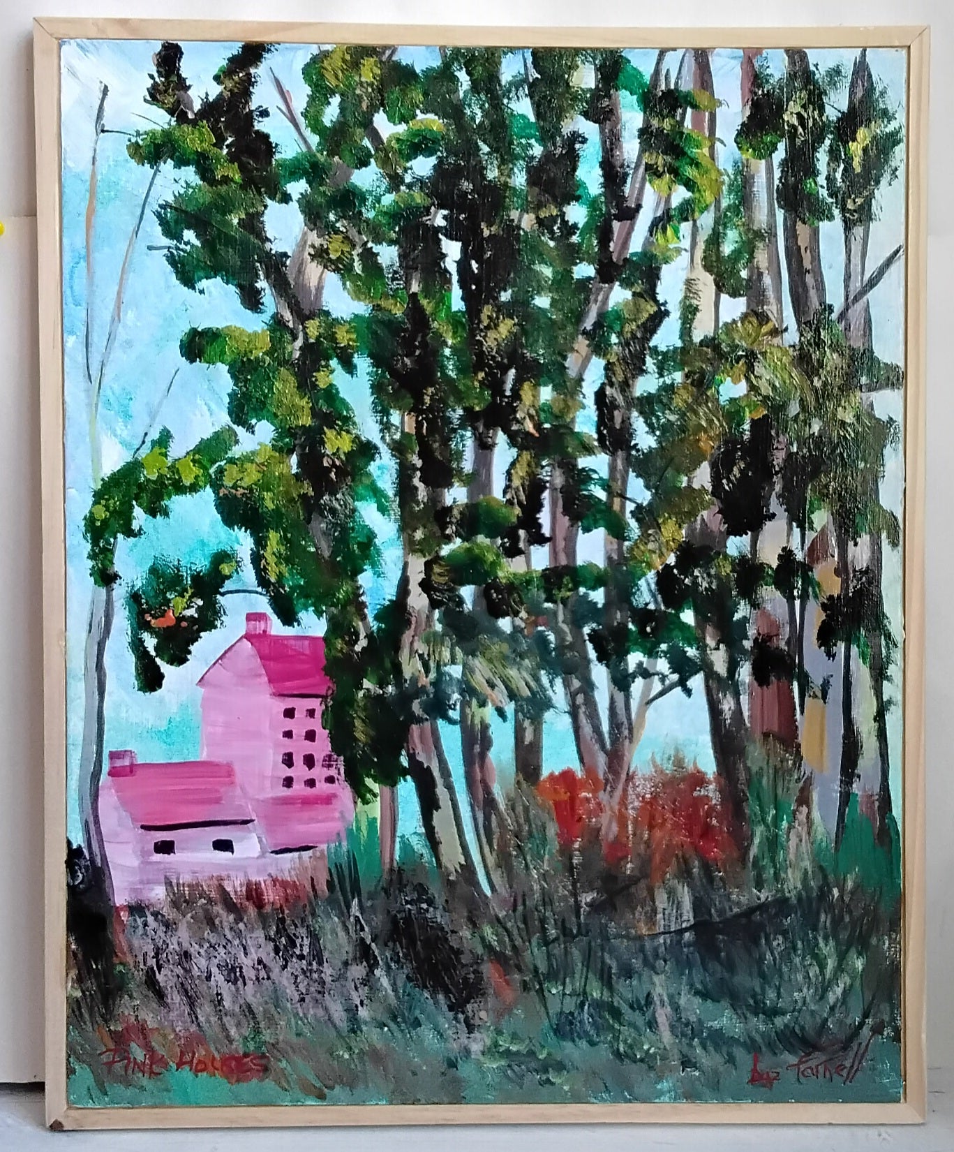 PINK HOUSES