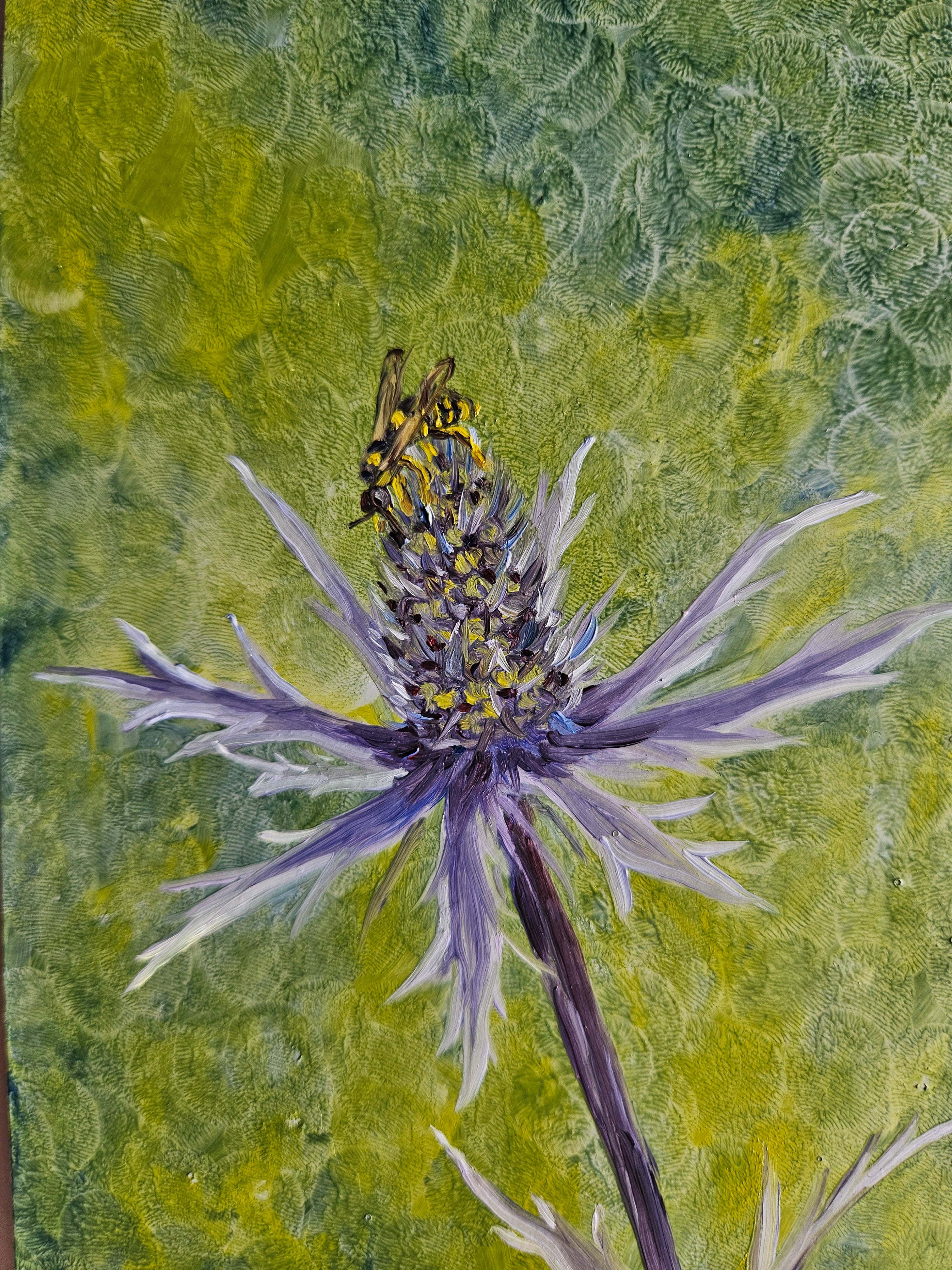 Eryngium & Visitor