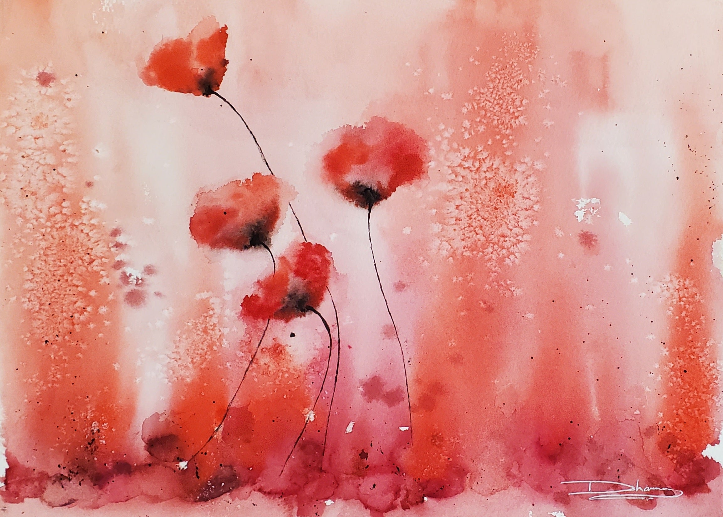 Poppies in the Mist - Scarlet