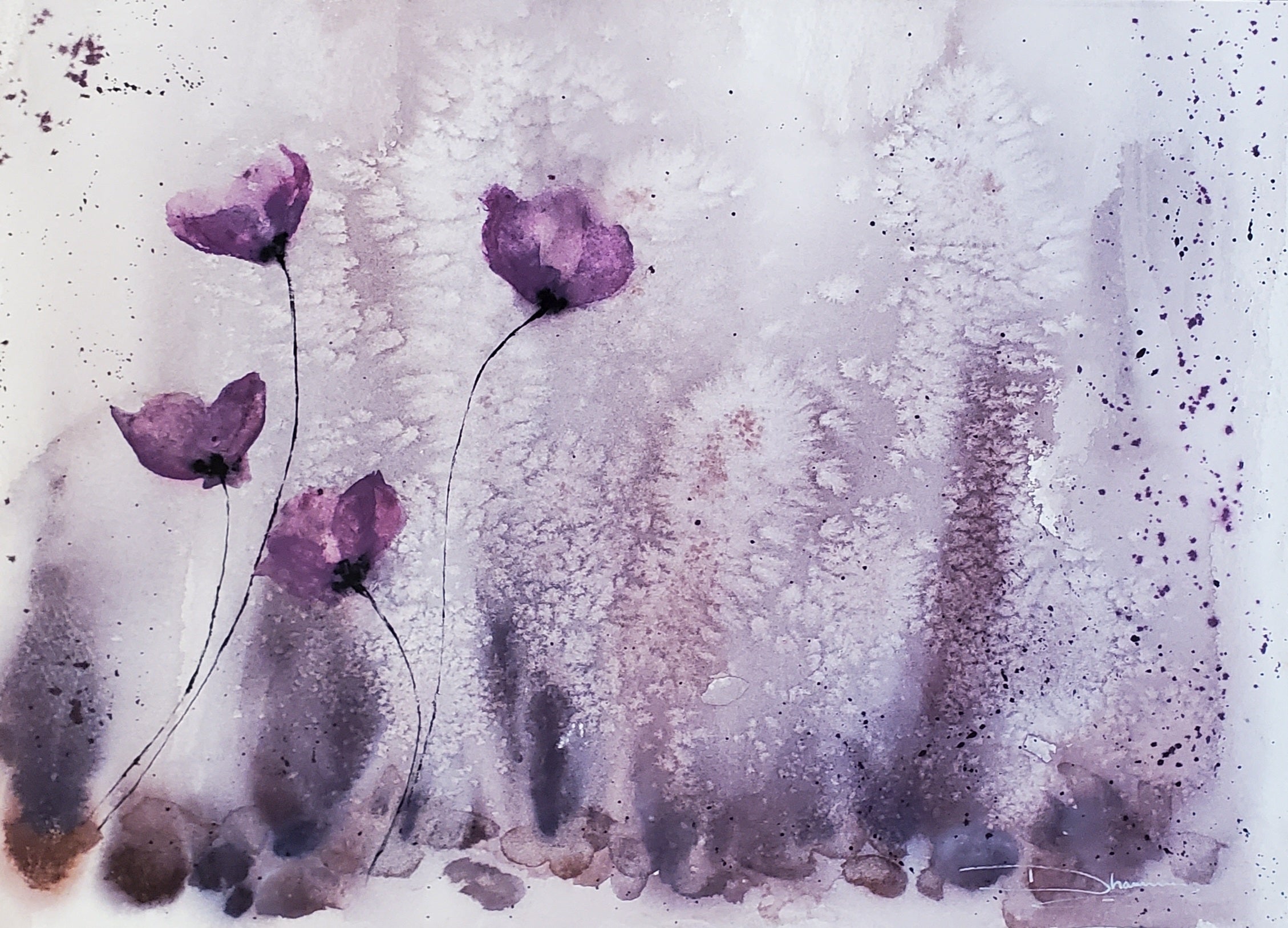 Poppies in the Mist - Violet