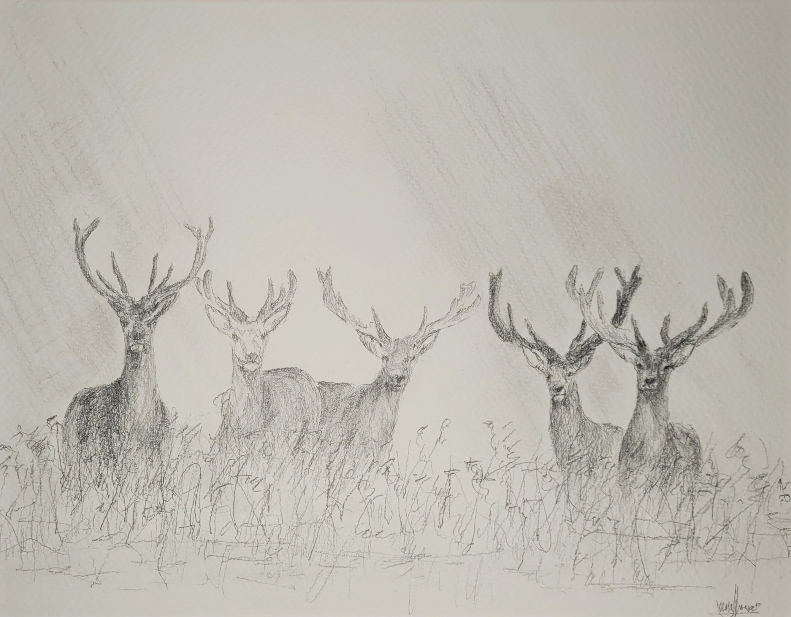 Chatsworth Deer