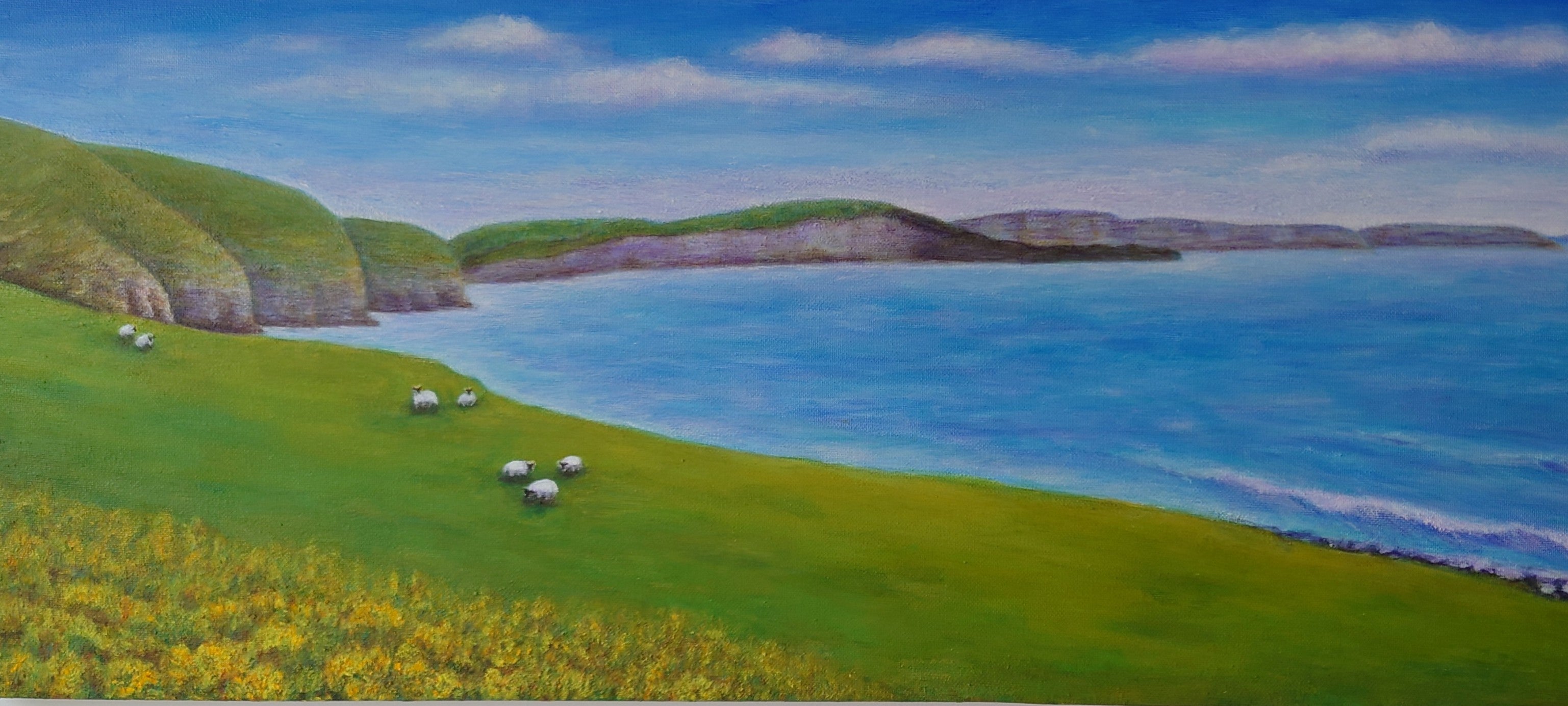 The sheeps